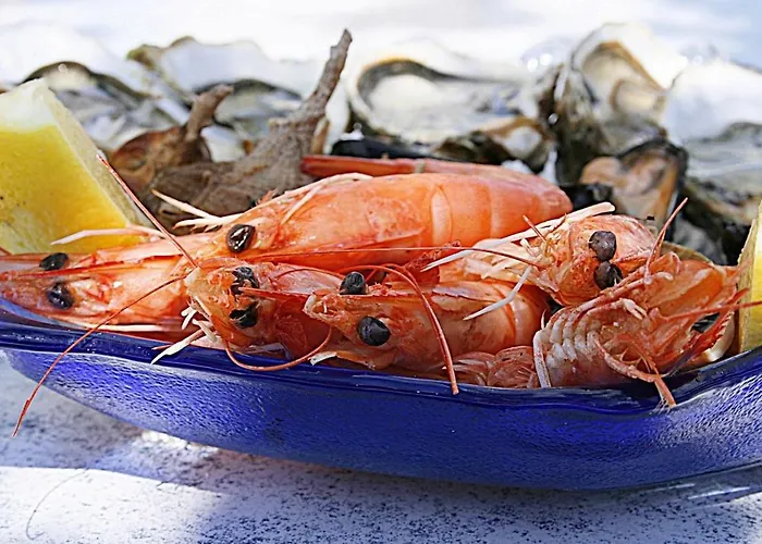 Апарт-отель Elbamar